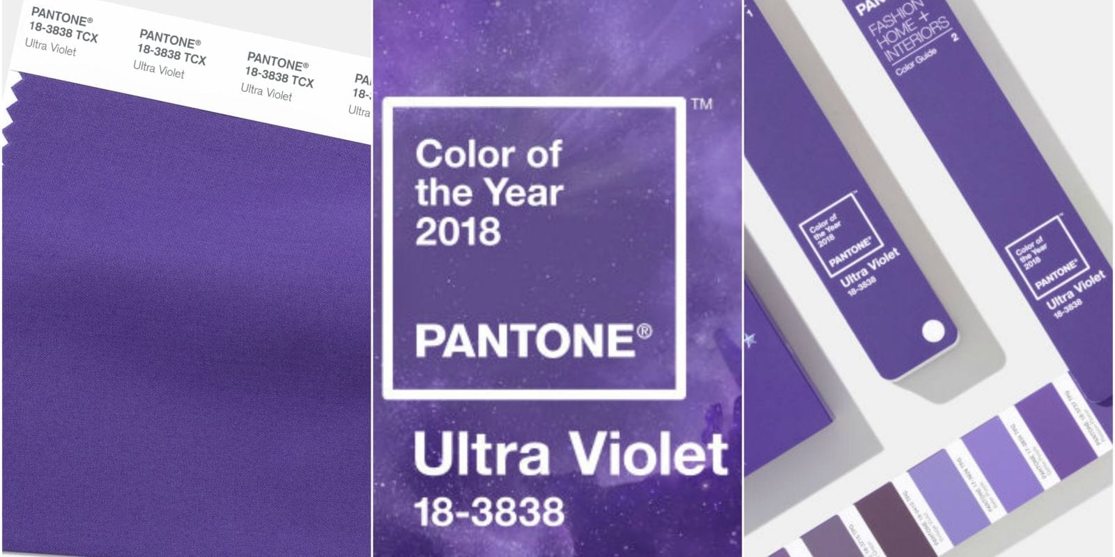 Onze Pantone Ultra Violet Keuze Asters Royal Van Zanten Coloring Wallpapers Download Free Images Wallpaper [coloring436.blogspot.com]
