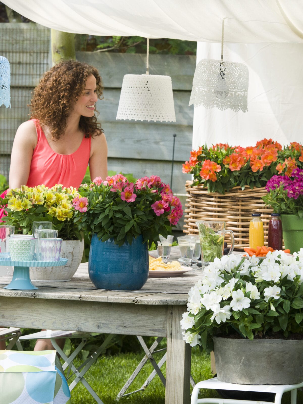 Nieuwe rassen versterken de kracht van Colorita®