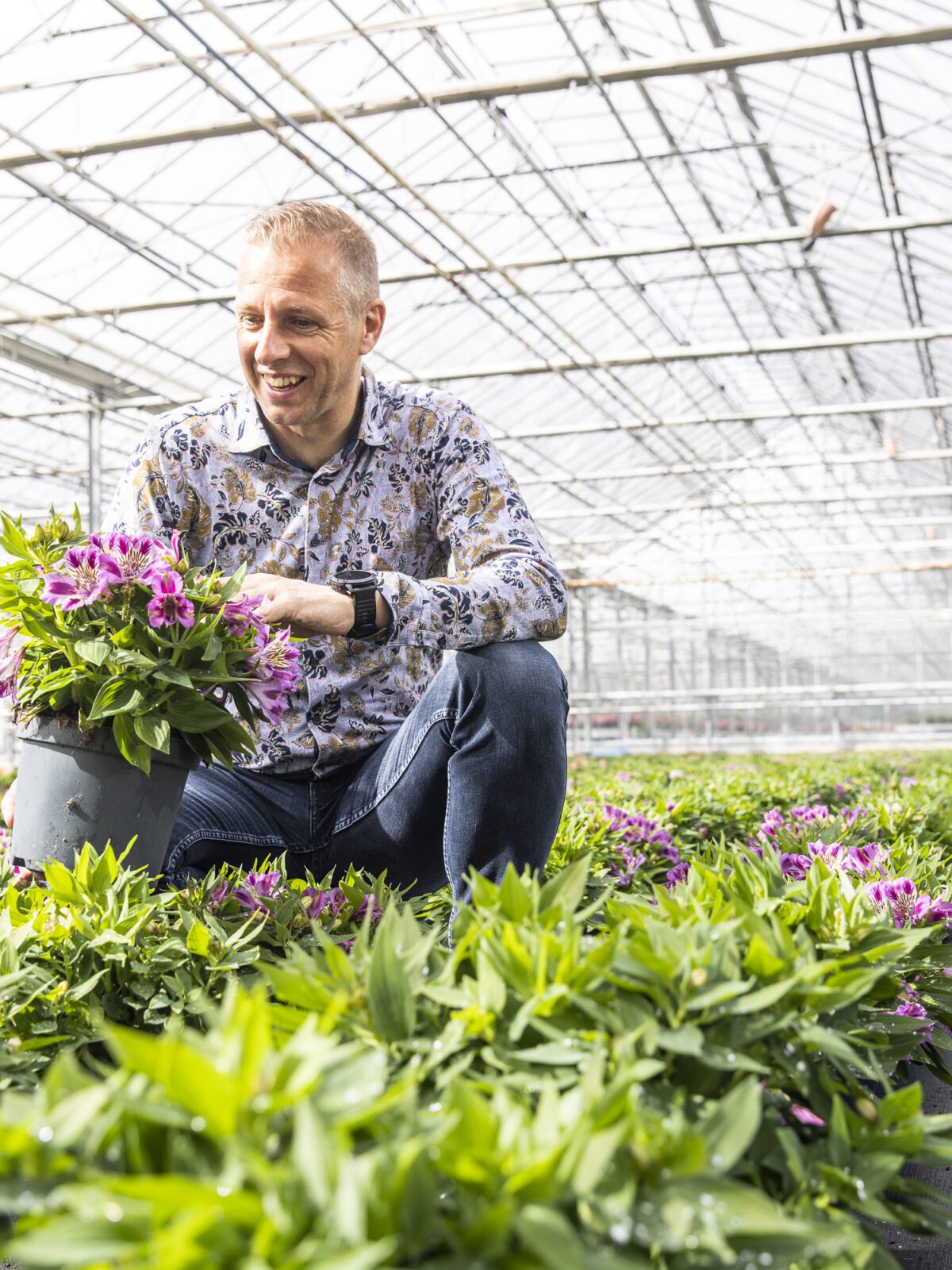 Meet the grower: FN Kempen