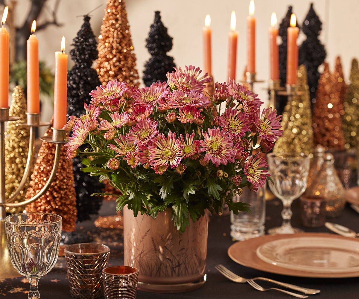 DIY: elevate your Christmas table with pot chrysanthemums