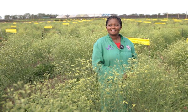 Marginpar (16 of 19)