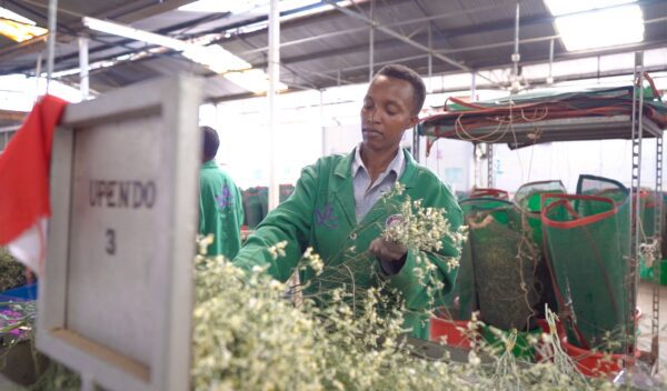 Marginpar (19 of 19)