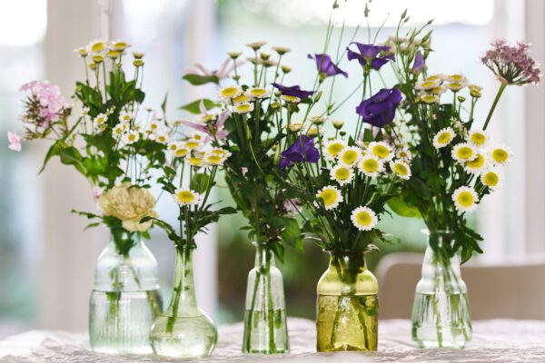 RVZ_sun-up_ 16_Preview