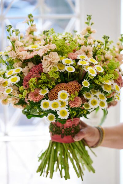 RVZ_sun-up_ 19_Preview