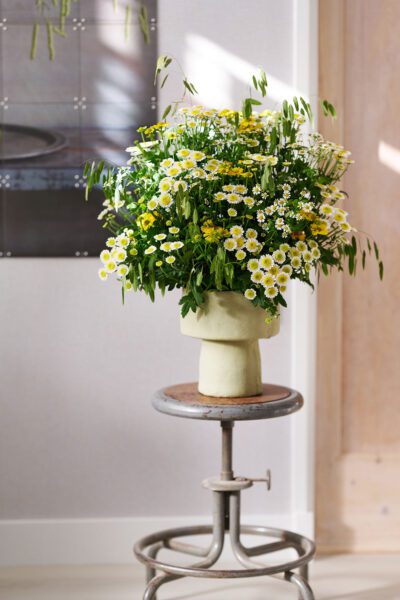 RVZ_sun-up_ 1_Preview