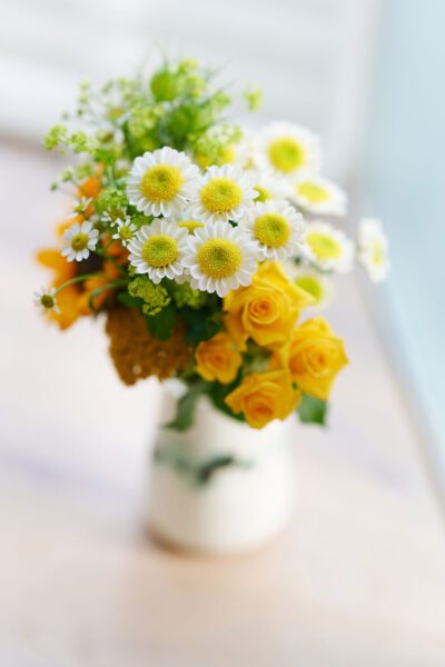 RVZ_sun-up_ 2_Preview