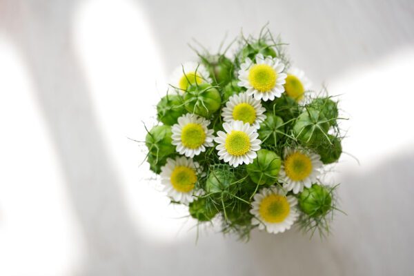 RVZ_sun-up_ 35_Preview