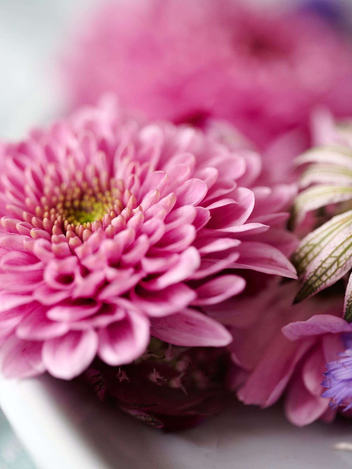 DIY: tafeldecoratie met Fabienne