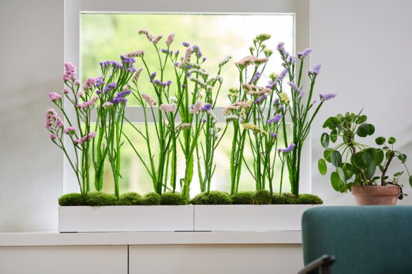 RVZ-statice-mix_-Preview