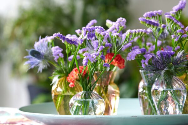 RVZ-statice- mystic-nile__ 1-Preview