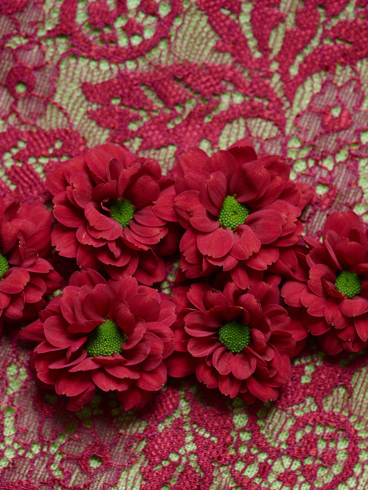 Melissa & Melissa Red geven het najaar kleur!