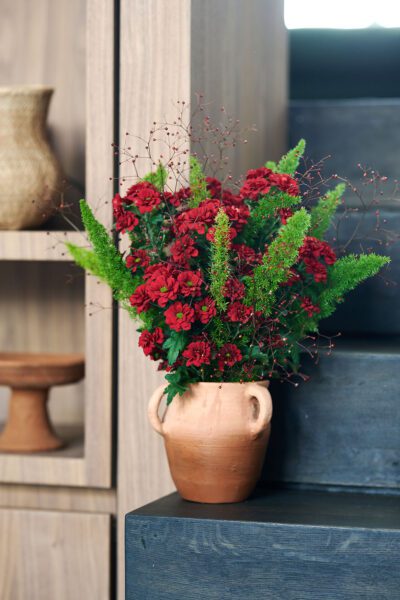 RVZ_melissa_ 3_preview