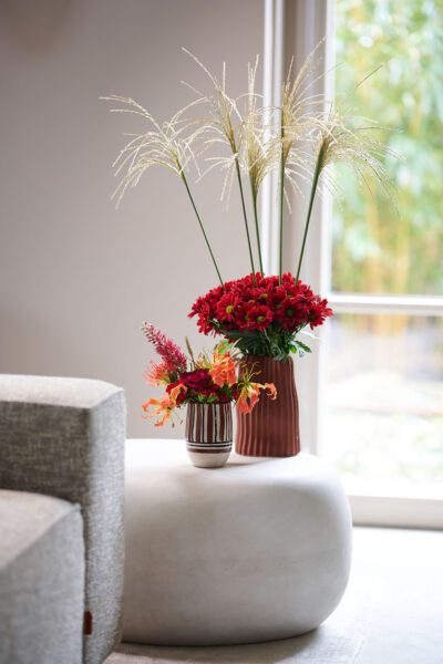 RVZ_Bontempi_ 22_preview