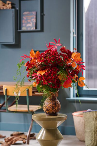 RVZ_Bontempi_ 27_preview