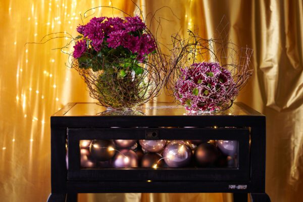 RVZ-kerst_2022Preview