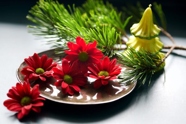 RVZ_Bontempi_ 8_preview