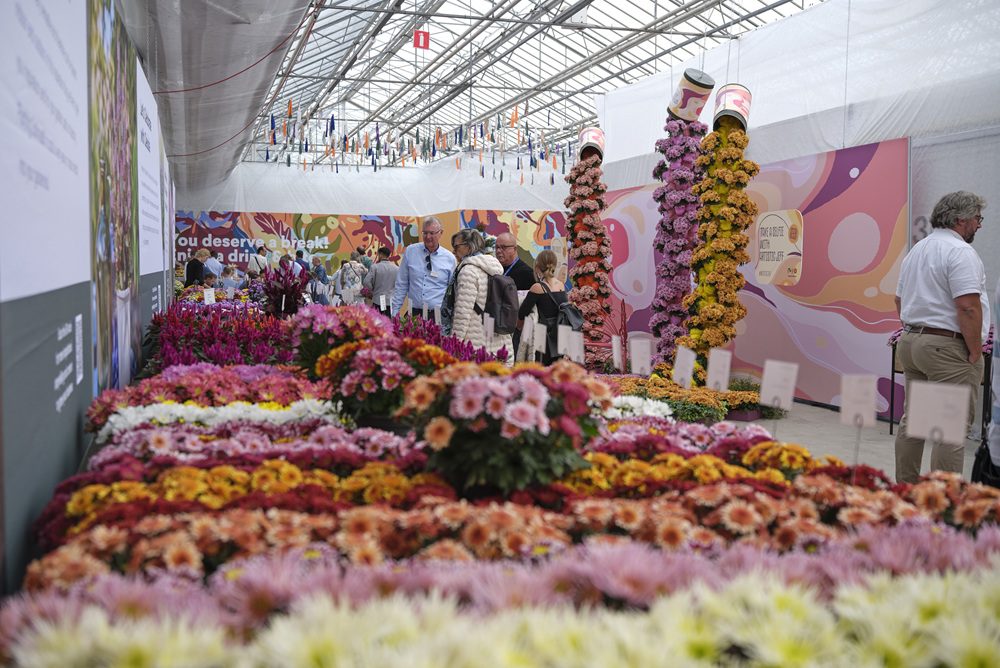 FlowerTrials 2026: new location Lavendelweg