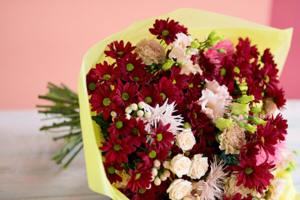 RVZ_barolo 13Preview