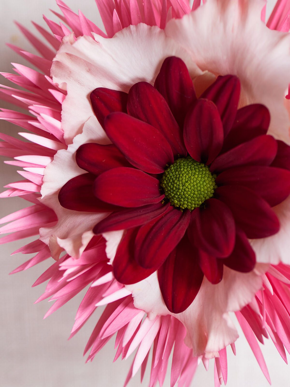 Love blooms with Chrysanthemums