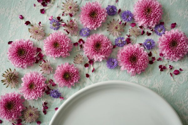 RVZ_fabienne_ 29_preview