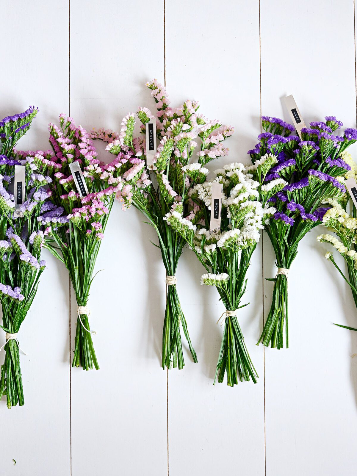 Something Beautiful is Growing: meet Statice