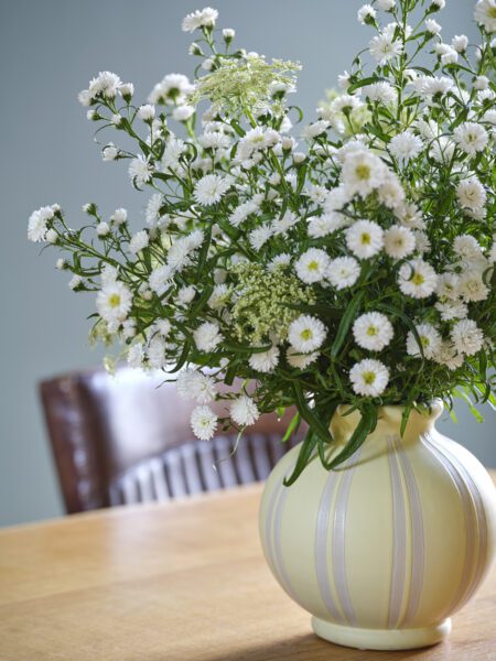 RVZ-Asters-2499